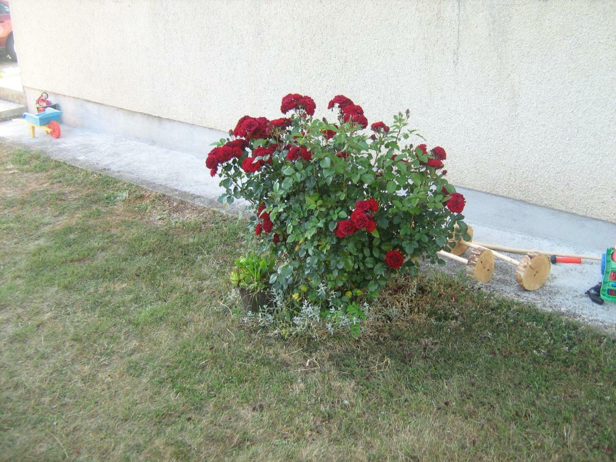 Apartment Jopa Korenica Dış mekan fotoğraf