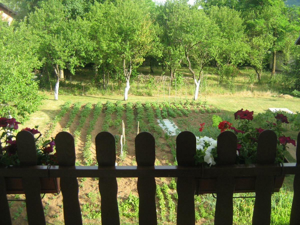 Apartment Jopa Korenica Dış mekan fotoğraf